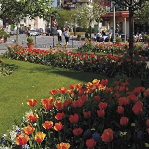 Flower beds with tulips in town centre, Deauville, Calvados, Normandy, France, Europe