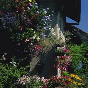 Flower filled garden of village house with sparkling church spire beyond