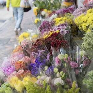 Flower Market, Mongkok, Kowloon, Hong Kong, China, Asia