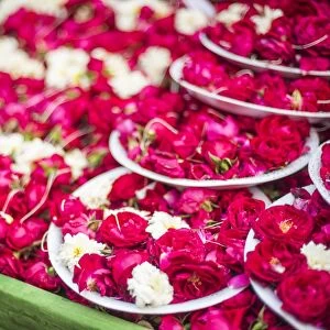 Flowers for offering at a Hindu temple, New Delhi, India, Asia
