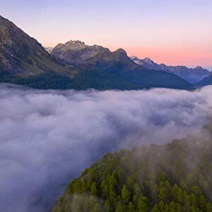 Foggy sunrise over woods of Maloja Pass at dawn, aerial view by drone, Engadine, Canton