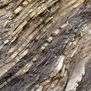 Folded layers of Jurassic sedimentary limestone and marl rocks in the cliffs at Vega beach, Ribadesella, Asturias, Spain, Europe