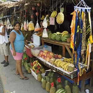 Food vendors, Manuel Antonio, Costa Rica, Central America