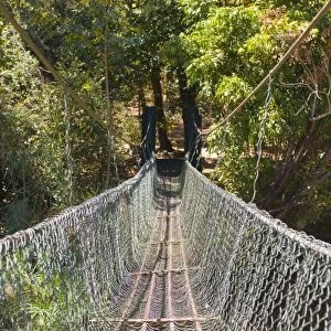 Footbridge in the Ankarafantsika National Park, Madagascar, Africa