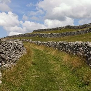 Footpath on the Dales Way, Grassington, Yorkshire Dales National Park, North Yorkshire