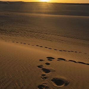 Footprints and sand ripples in the sand dunes of the Tenere Desert, Sahara, Niger, Africa