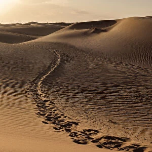 Footsteps trail path between the sand dunes of Sahara Desert, Merzouga, Morocco