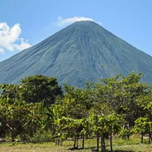 The forested side of the 1610m active Volcan Concepcion seen from the east of the island, Isla Omotepe, Lake Nicaragua, Nicaragua, Central America
