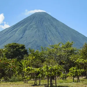 The forested side of the 1610m active Volcan Concepcion seen from the east of the island, Isla Omotepe, Lake Nicaragua, Nicaragua, Central America