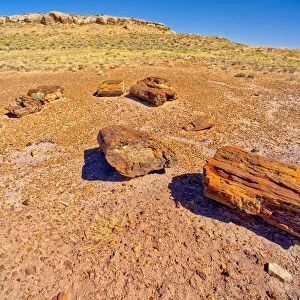 Formation called Agate Mesa, viewed from a group of petrified wood in the foreground