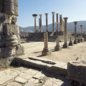 Forum, Roman site of Volubilis, UNESCO World Heritage Site, Morocco, North Africa, Africa