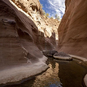 Fresh water in a slot canyon at Mesquite Canyon, Sierra de la Giganta