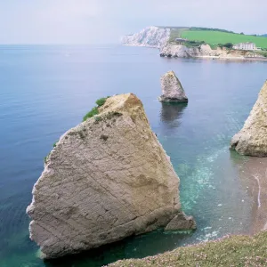 Freshwater Bay, Isle of Wight, England, United Kingdom, Europe