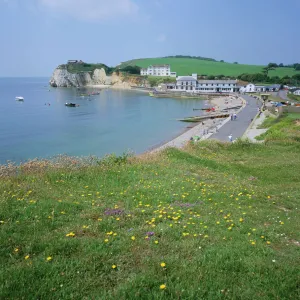 Freshwater Bay, Isle of Wight, England, United Kingdom, Europe