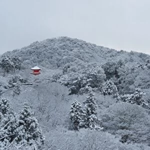Frozen landscape in Kiyomizu-dera temple, Kyoto, Japan, Asia