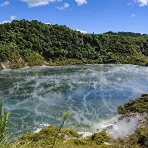 Frying Pan Lake, the largest hot spring in the world, Waimangu Volcanic Valley, North Island, New Zealand, Pacific