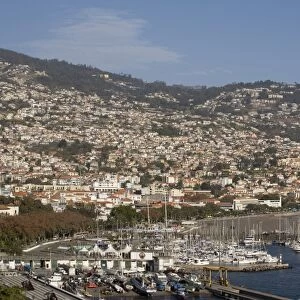 Funchal harbour, Madeira, Portugal, Atlantic, Europe
