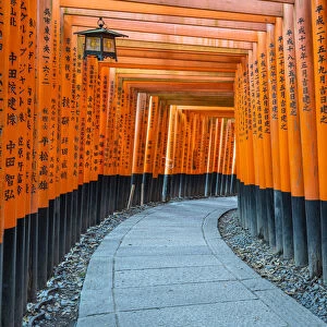 Fushimi Inari Taisha shrine and torii gates, Kyoto, Japan, Asia
