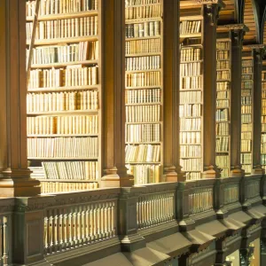 Gallery of the Old Library