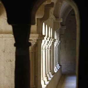 Ganagobie Monastery cloister, Ganagohie, Alpes de Haute Provence, France, Europe