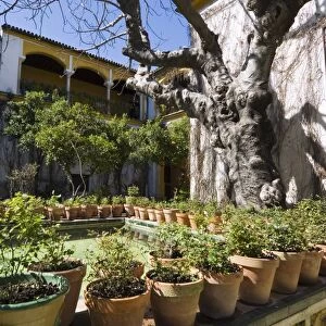 Gardens in the Casa de Pilatos