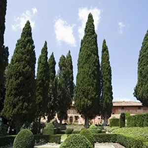 The gardens of the Villa Vignamaggio