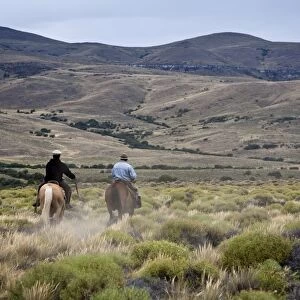 Gauchos riding horses, Patagonia, Argentina, South America
