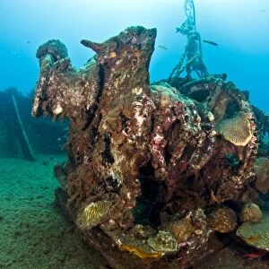 Gear on the deck of the wreck of the Lesleen M, a freighter sunk as an artificial reef in 1985 off Anse Cochon Bay, St. Lucia, West Indies, Caribbean, Central America