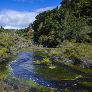 Geothermal river in the Waimangu Volcanic Valley, North Island, New Zealand, Pacific