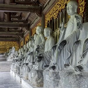 Gia Sinh, Bodhisattva statues at the Bai Dinh Mahayana Buddhist Temple near Tam Coc