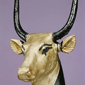 Gilded and stuccoed wooden head of the sacred cow, from the tomb of the pharaoh Tutankhamun