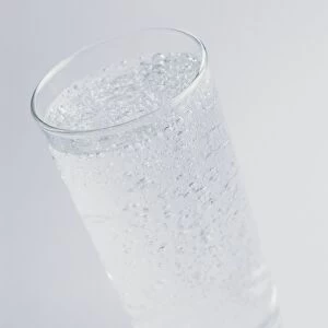 A Glass of Sparkling Water