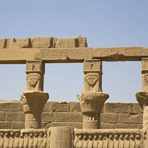 Goddess Hathor Columns, Vestibule of Nectanebo, Temple of Isis
