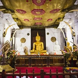 Golden Buddha statue at Temple of the Sacred Tooth Relic (Sri Dalada Maligawa), UNESCO World Heritage Site, Kandy, Sri Lanka, Asia