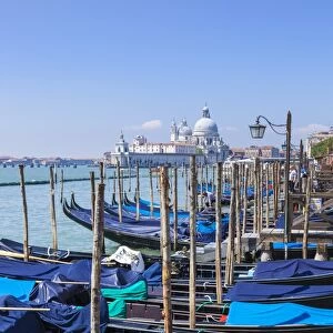Gondolas moored in the Bacino di San Marco (St. Marks Basin), waterfront, Venice