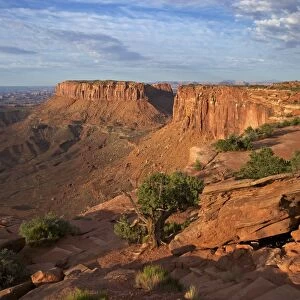 Grand View Point Overlook, Canyonlands National Park, Utah, United States of America, North America