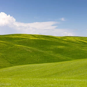 Green fields, Cypress trees and blue sky in Val d Orcia, UNESCO World Heritage Site