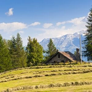 Grivola Mountain, Vetan, Aosta Valley, Italian Alps, Italy, Europe