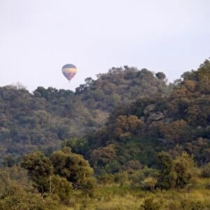 Group of white rhinos and balloon, Pilanesberg National Park, Sun City