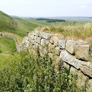 Hadrians Wall, near Housesteads, UNESCO World Heritage Site, Northumberland