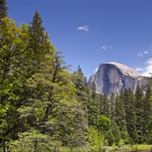 Half Dome granite monolith, Merced River, Yosemite Valley, Yosemite National Park