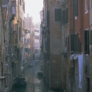 Halia, Venice
