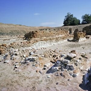 Harappa archaeological site