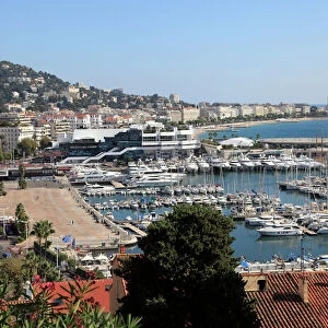 Harbor, Cannes, Alpes Maritimes, Cote d Azur, French Riviera, Provence, France, Europe
