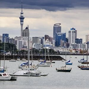 The harbour of Auckland with the skyline in the background, Auckland, North Island, New Zealand, Pacific