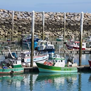 Harbour boats, Saint Quay Portrieux, Cotes d Armor, Brittany, France, Europe