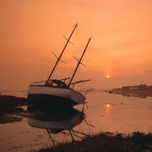 The harbour, Bosham, Chichester, West Sussex, England, UK