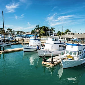 Harbour of Dana Point, ferry point to Santa Catalina Island, California, United States of America