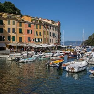 Harbour, Portofino, Genova (Genoa), Liguria, Italy, Europe