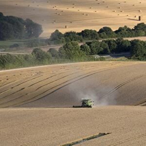 Harvesting wheat with combine harvester, near Winchester, Hampshire, England, United Kingdom
